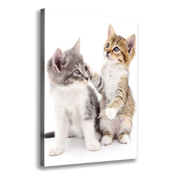 Large canvas wall art Two little cats