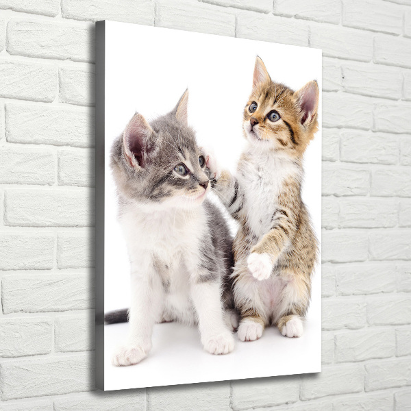 Large canvas wall art Two little cats