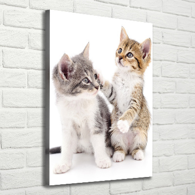 Large canvas wall art Two little cats