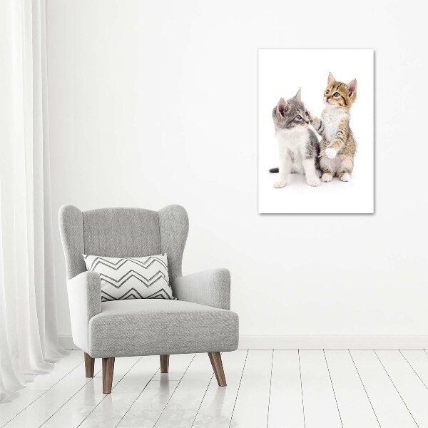 Large canvas wall art Two little cats