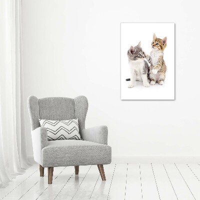 Large canvas wall art Two little cats