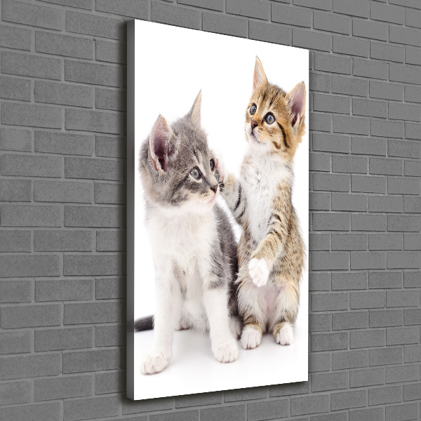 Large canvas wall art Two little cats