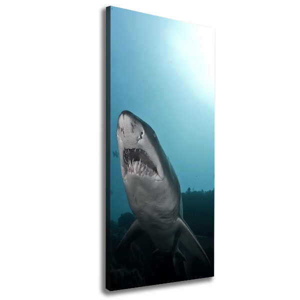 Wall art canvas large Large shark