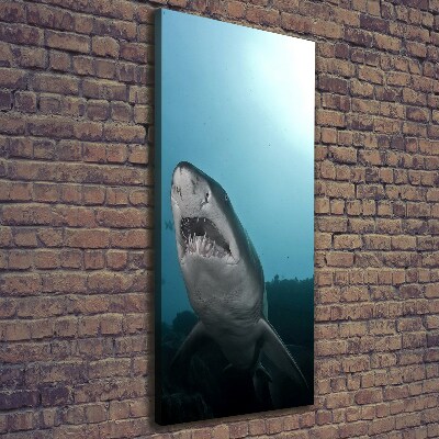 Wall art canvas large Large shark