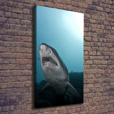 Wall art canvas large Large shark