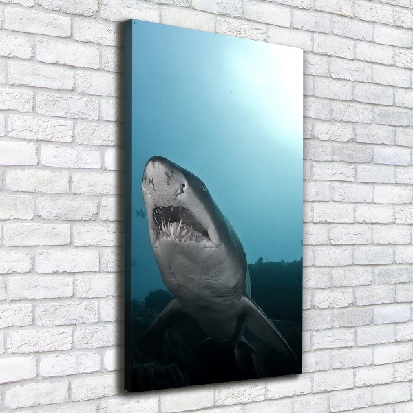 Wall art canvas large Large shark