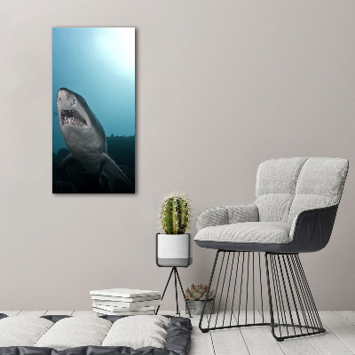 Wall art canvas large Large shark