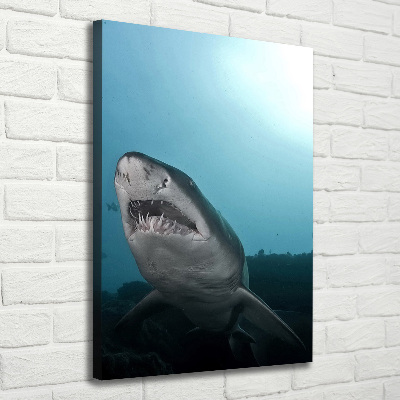 Wall art canvas large Large shark