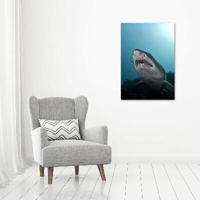 Wall art canvas large Large shark