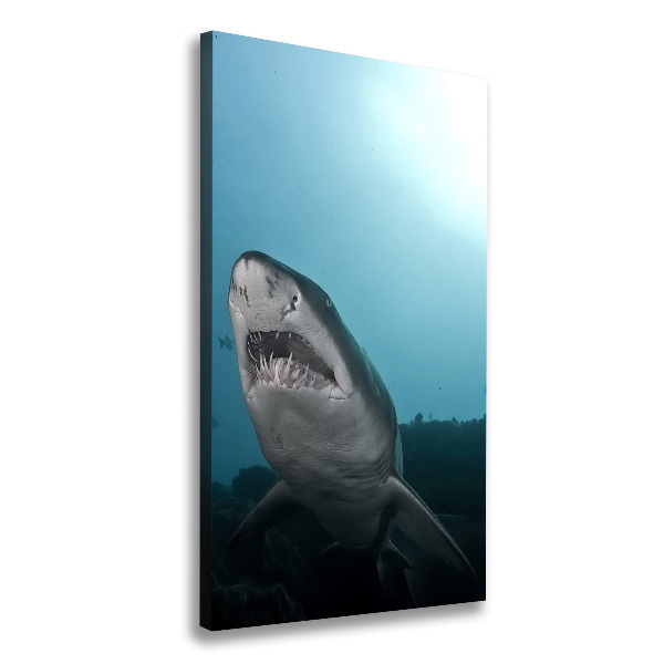 Wall art canvas large Large shark