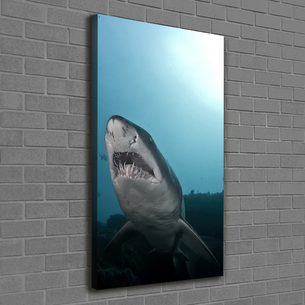 Wall art canvas large Large shark