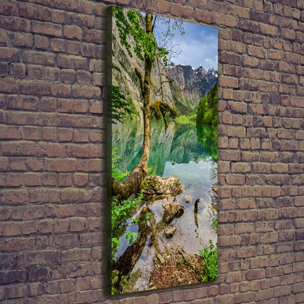 Canvas wall art Lake in the mountains