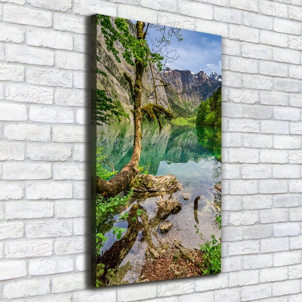 Canvas wall art Lake in the mountains