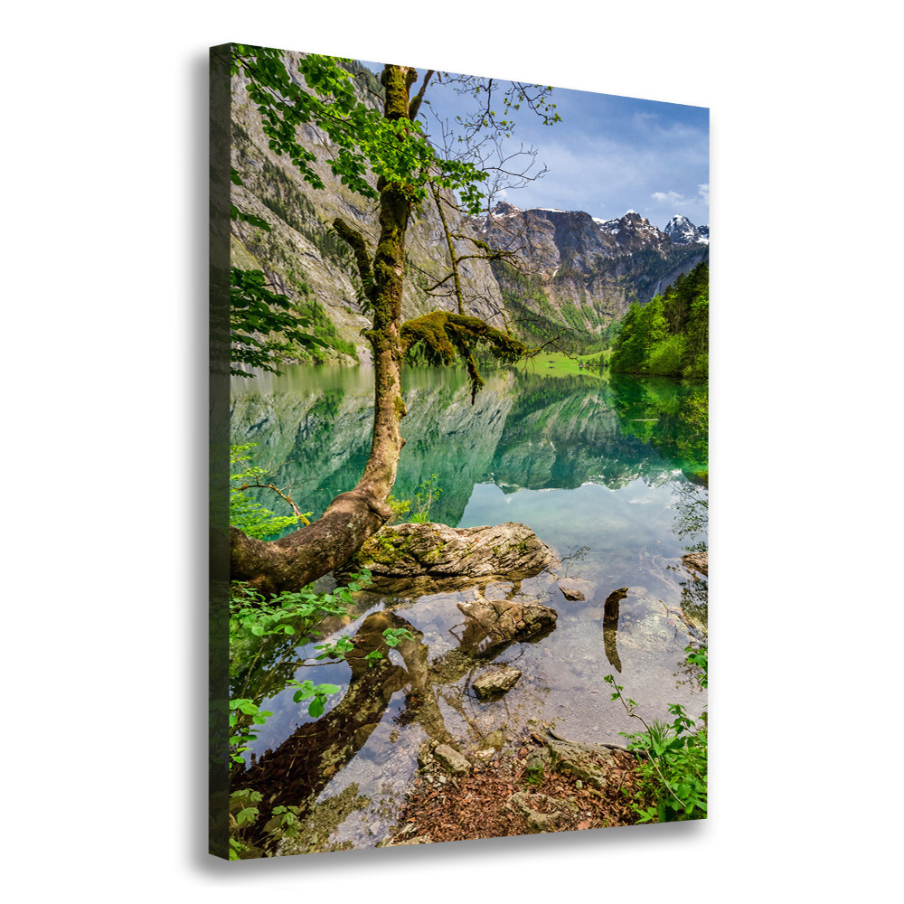 Canvas wall art Lake in the mountains