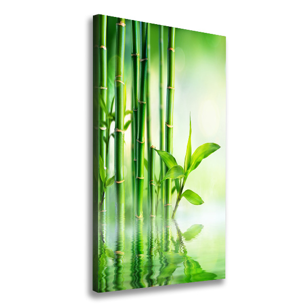 Canvas print Bamboo in water