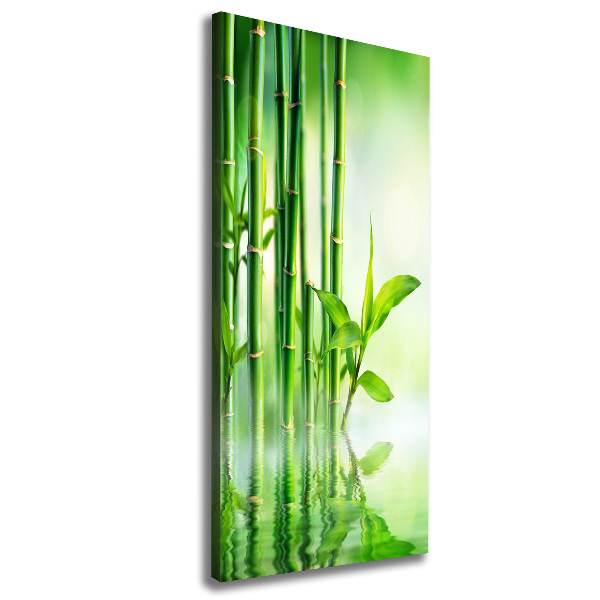 Canvas print Bamboo in water