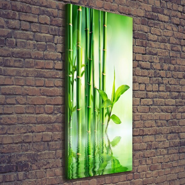 Canvas print Bamboo in water