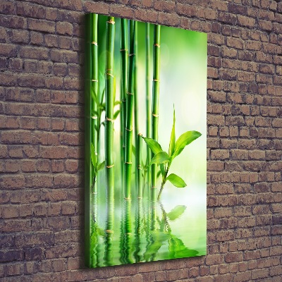 Canvas print Bamboo in water