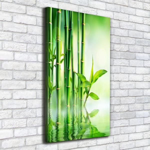 Canvas print Bamboo in water