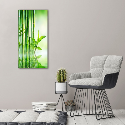 Canvas print Bamboo in water