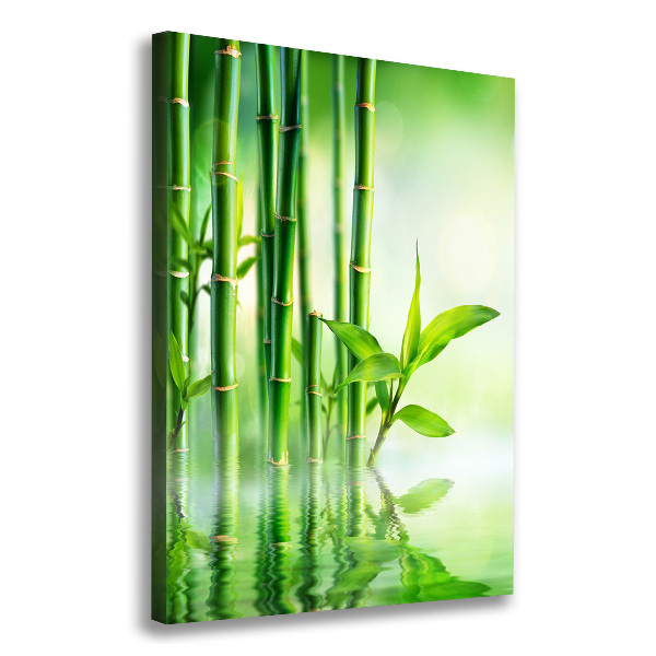 Canvas print Bamboo in water