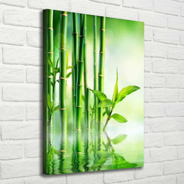 Canvas print Bamboo in water