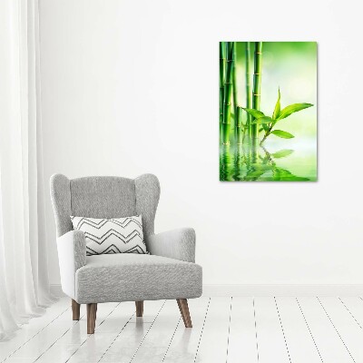 Canvas print Bamboo in water