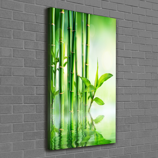 Canvas print Bamboo in water