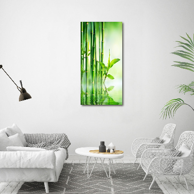 Canvas print Bamboo in water