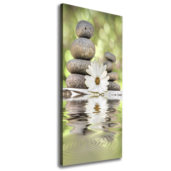 Large canvas wall art Stones and flower