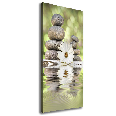 Large canvas wall art Stones and flower