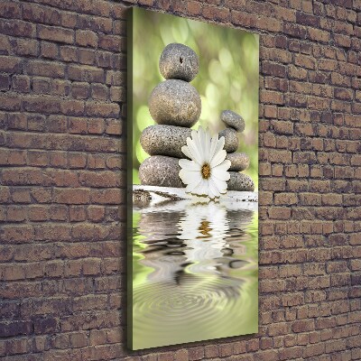 Large canvas wall art Stones and flower