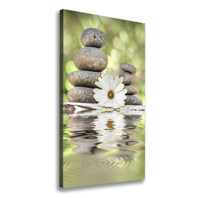 Large canvas wall art Stones and flower