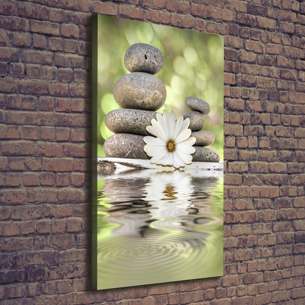 Large canvas wall art Stones and flower