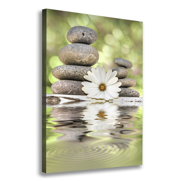 Large canvas wall art Stones and flower