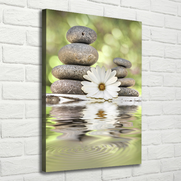 Large canvas wall art Stones and flower