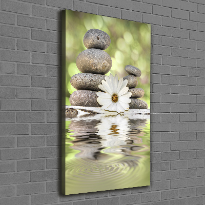 Large canvas wall art Stones and flower