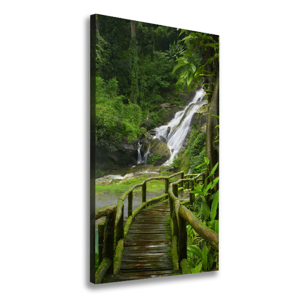 Canvas wall art Path in the jungle