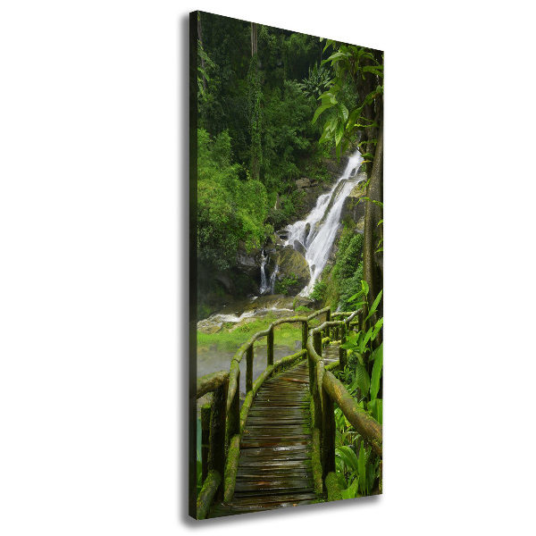 Canvas wall art Path in the jungle