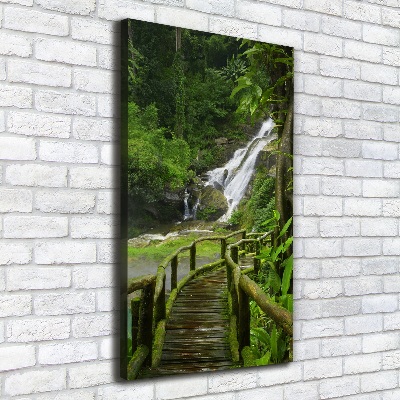 Canvas wall art Path in the jungle