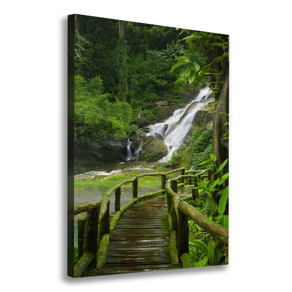 Canvas wall art Path in the jungle