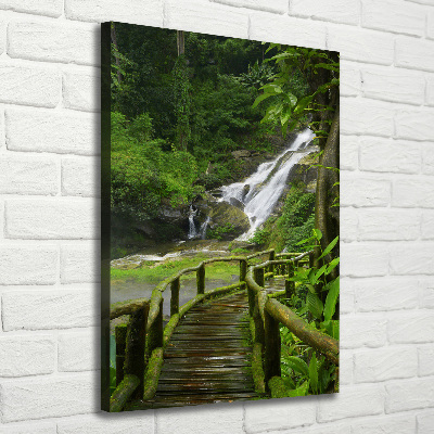 Canvas wall art Path in the jungle