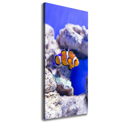 Canvas wall art Nemo fish