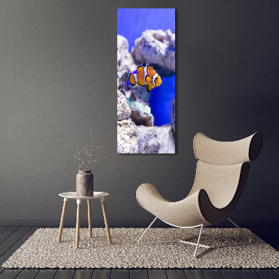 Canvas wall art Nemo fish