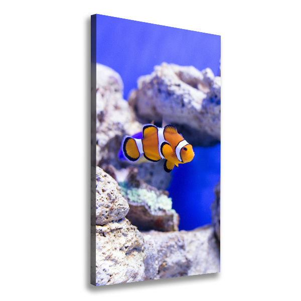 Canvas wall art Nemo fish