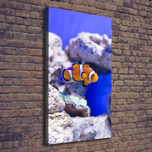 Canvas wall art Nemo fish