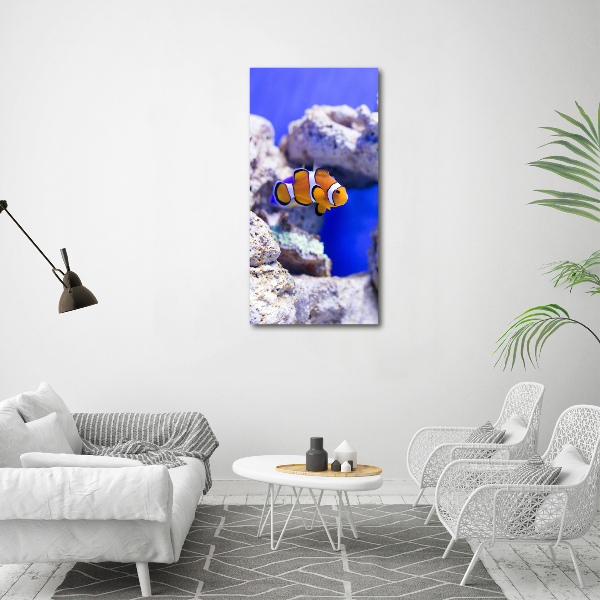 Canvas wall art Nemo fish