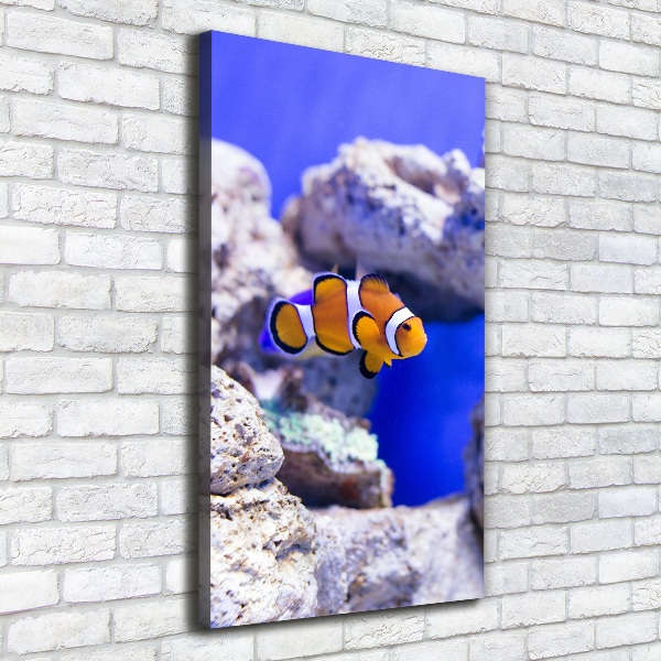 Canvas wall art Nemo fish