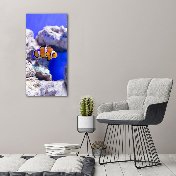 Canvas wall art Nemo fish