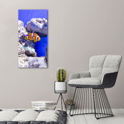 Canvas wall art Nemo fish